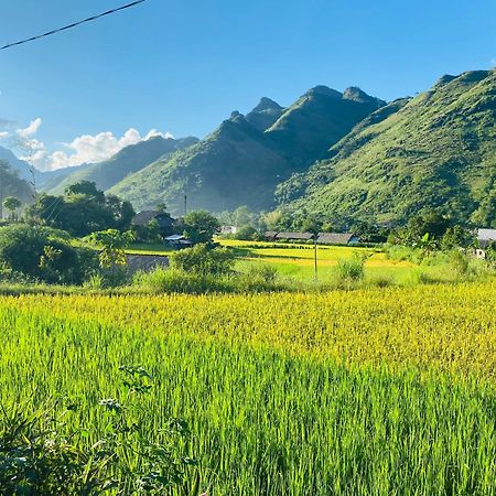 Du Gia Field View Homestay Làng Cac 외부 사진