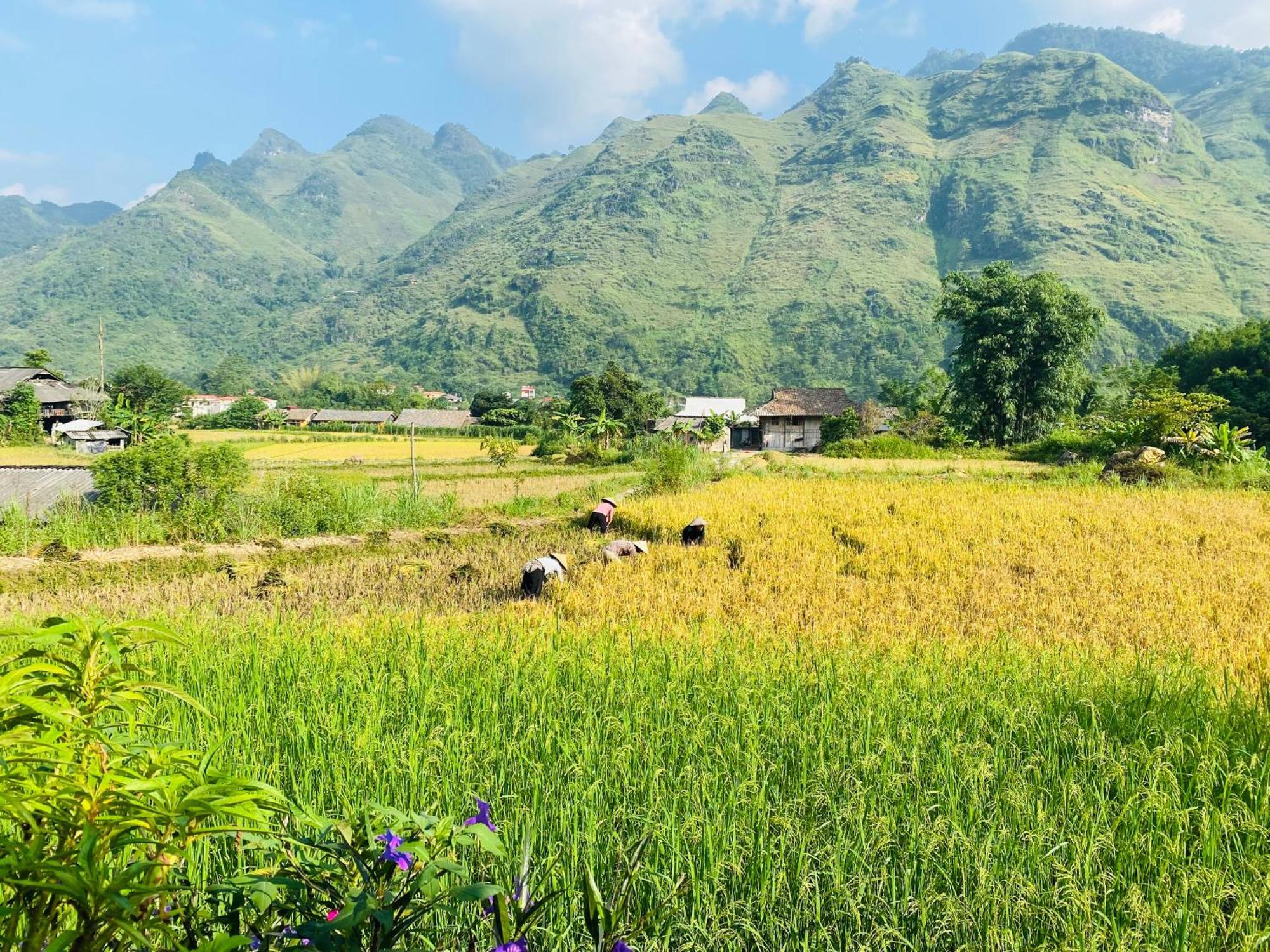 Du Gia Field View Homestay Làng Cac 외부 사진