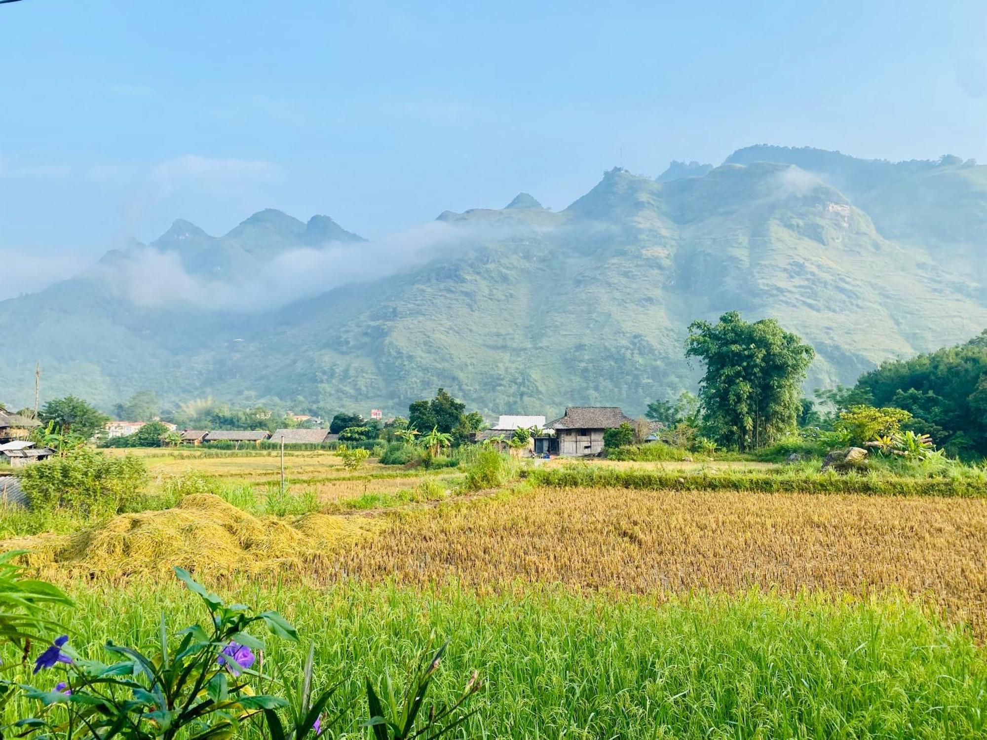 Du Gia Field View Homestay Làng Cac 외부 사진