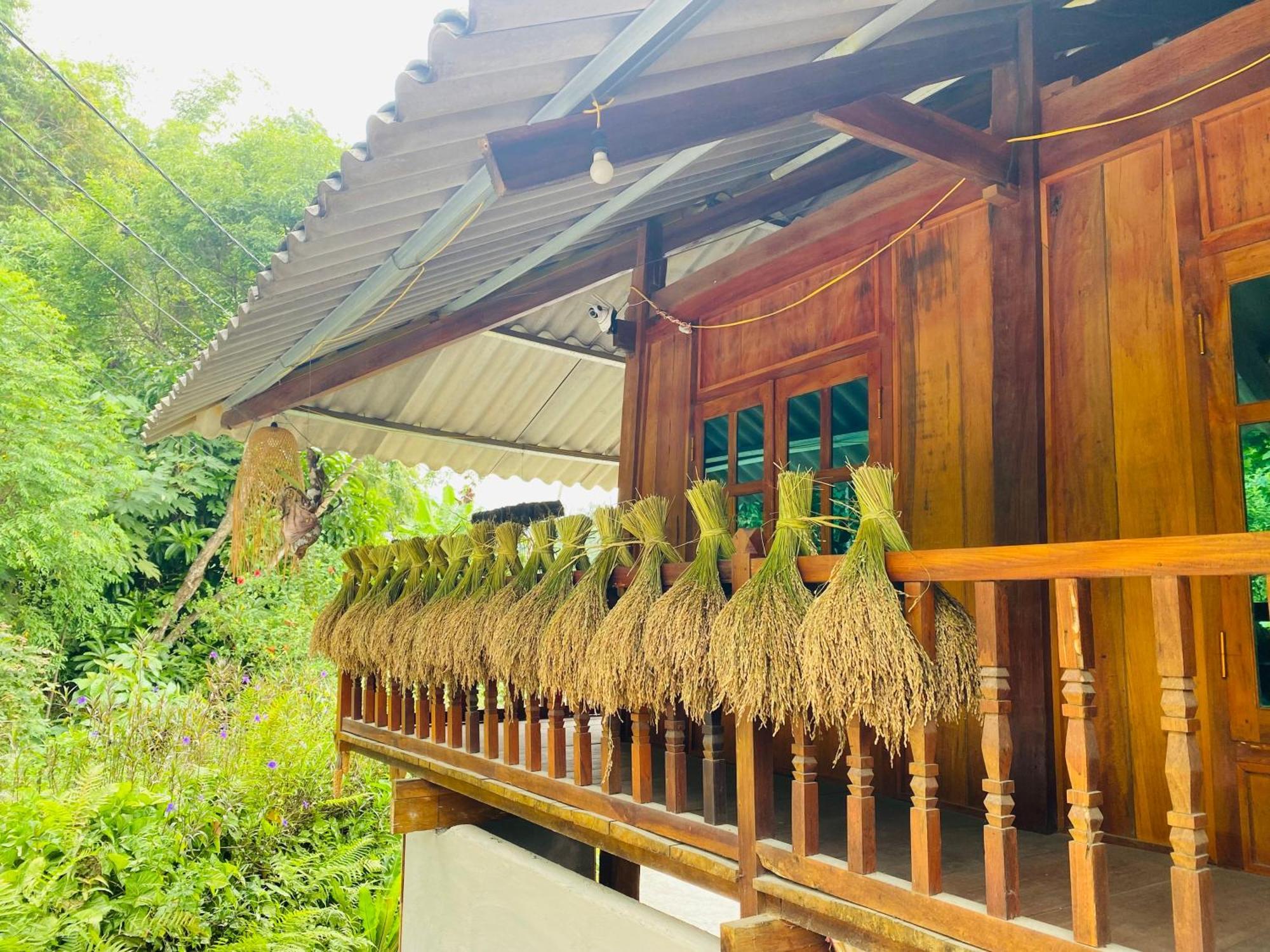 Du Gia Field View Homestay Làng Cac 외부 사진