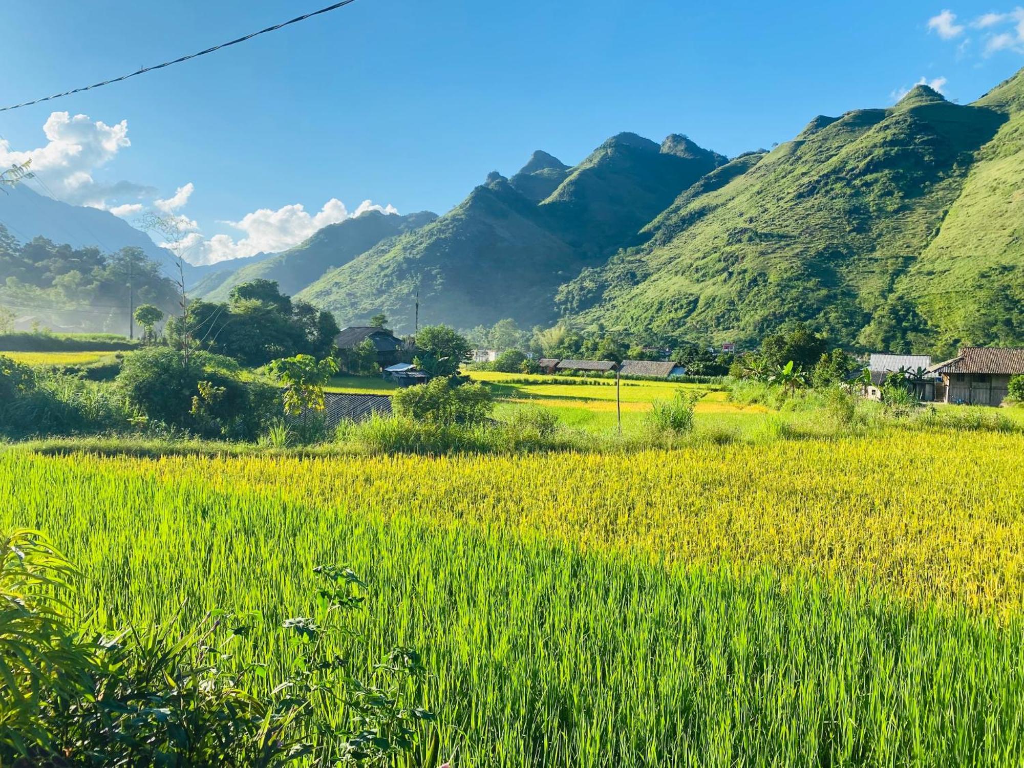 Du Gia Field View Homestay Làng Cac 외부 사진