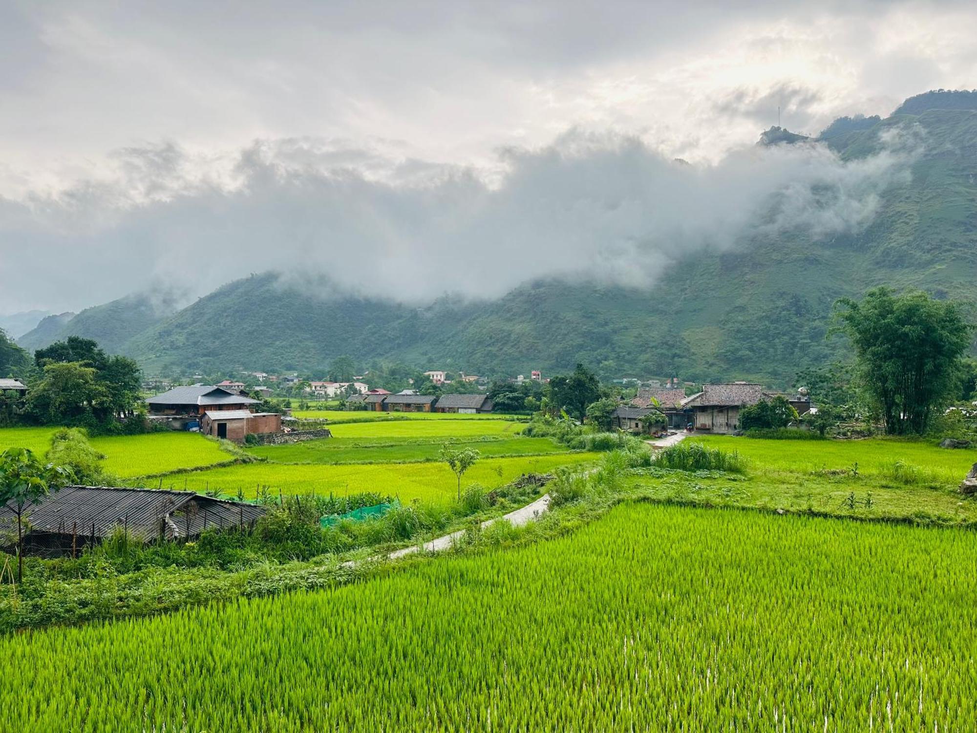 Du Gia Field View Homestay Làng Cac 외부 사진
