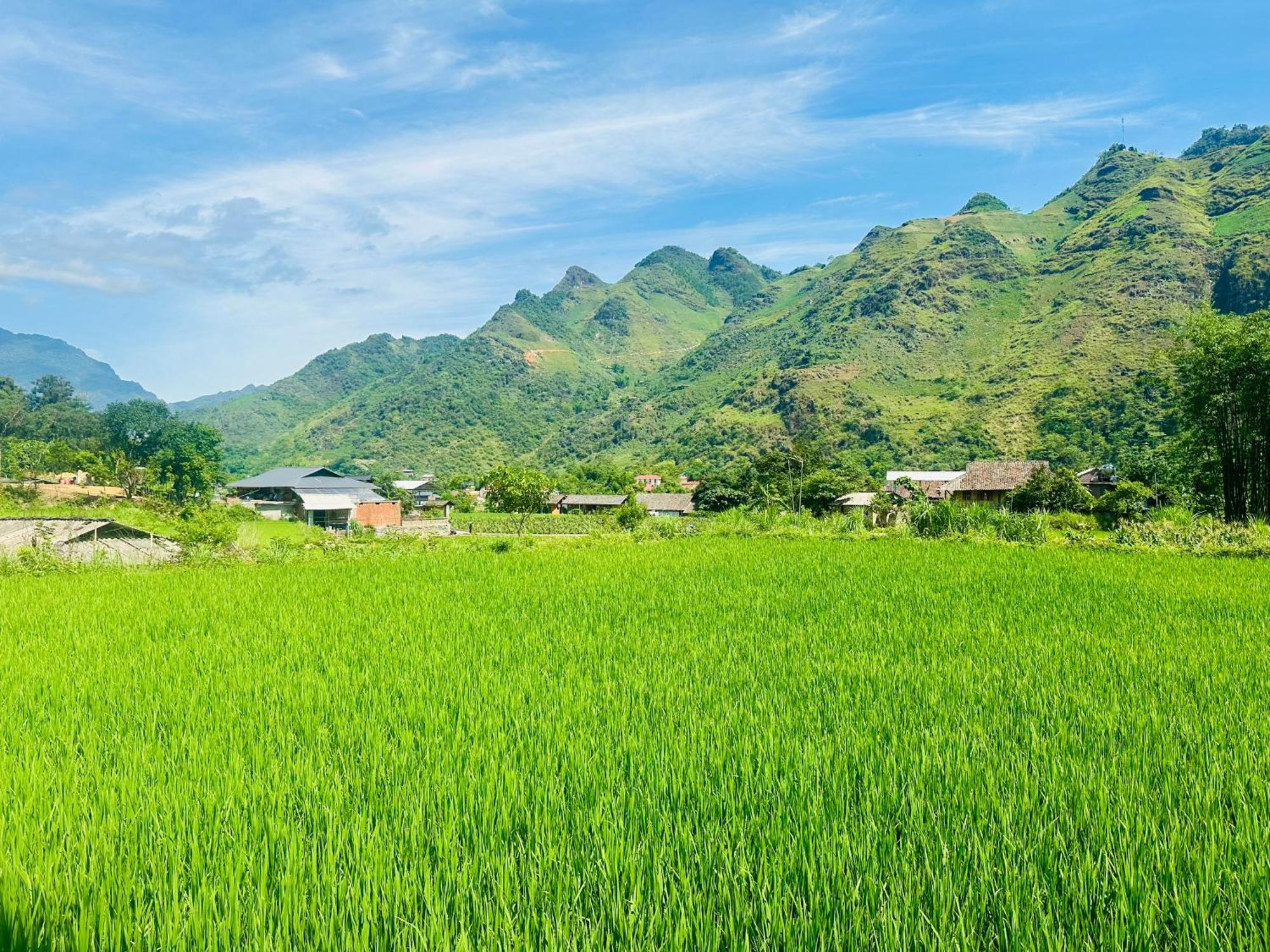 Du Gia Field View Homestay Làng Cac 외부 사진